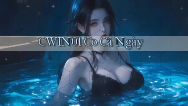 cwin01 co cả ngày