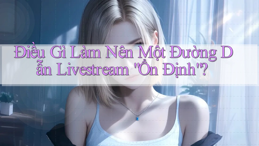 Điều Gì Làm Nên Một Đường Dẫn Livestream “Ổn Định”? Điều Gì Làm Nên Một Đường Dẫn Livestream “Ổn Định”?