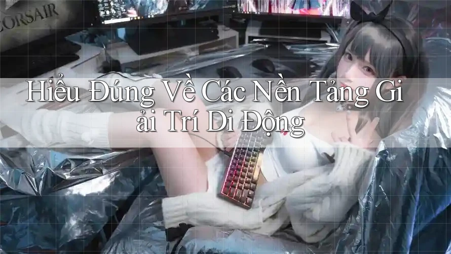 Hiểu Đúng Về Các Nền Tảng Giải Trí Di Động Hiểu Đúng Về Các Nền Tảng Giải Trí Di Động