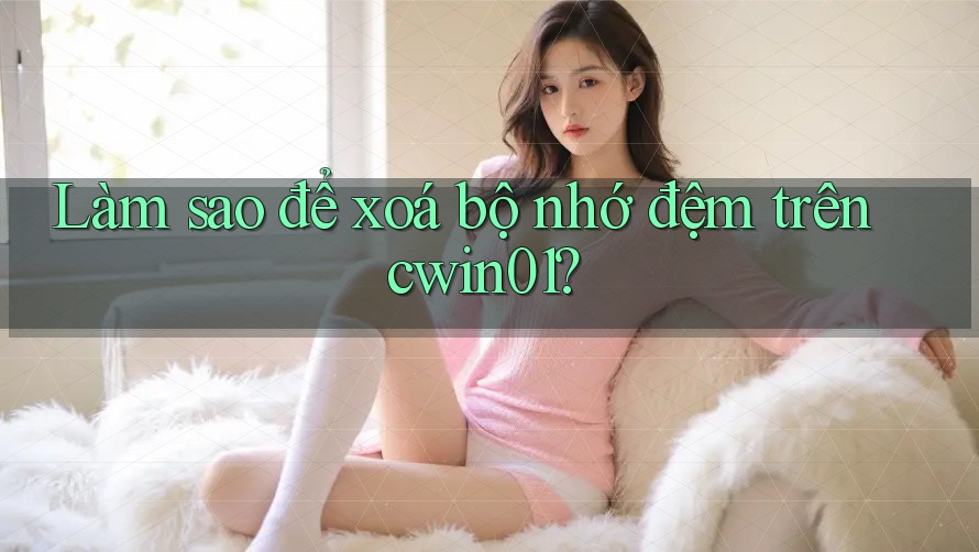 Làm sao để xoá bộ nhớ đệm trên cwin01? Làm sao để xoá bộ nhớ đệm trên cwin01?